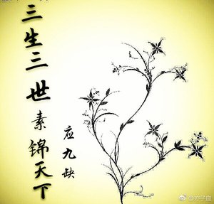 三生三世素锦天下